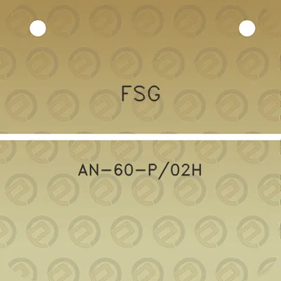 fsg-an-60-p02h