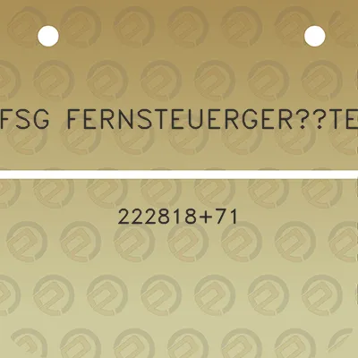 fsg-fernsteuergerate-22281871