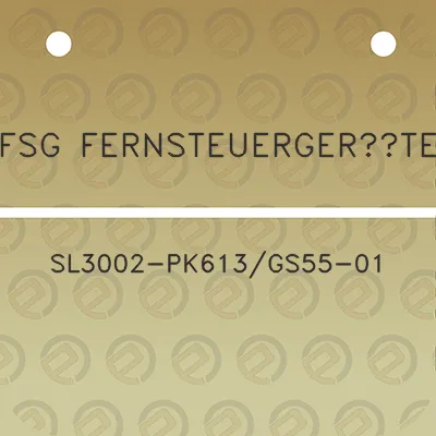 fsg-fernsteuergerate-sl3002-pk613gs55-01