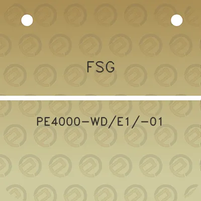 fsg-pe4000-wde1-01