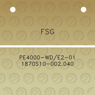 fsg-pe4000-wde2-01-1870s10-002040