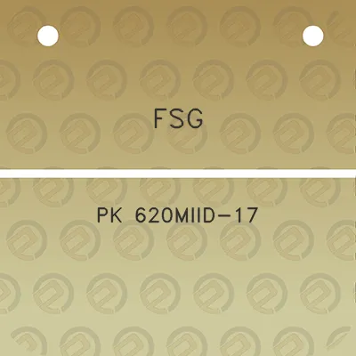 fsg-pk-620miid-17