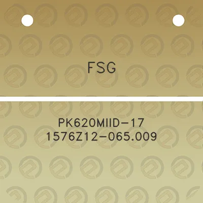 fsg-pk620miid-17-1576z12-065009