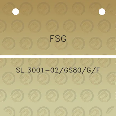 fsg-sl-3001-02gs80gf