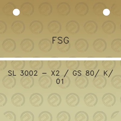 fsg-sl-3002-x2-gs-80-k-01