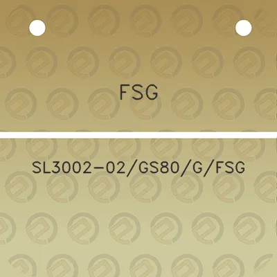 fsg-sl3002-02gs80gfsg