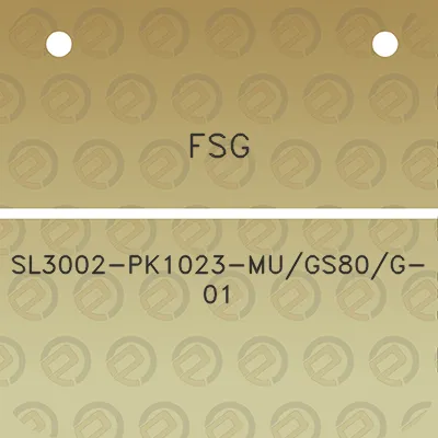 fsg-sl3002-pk1023-mugs80g-01