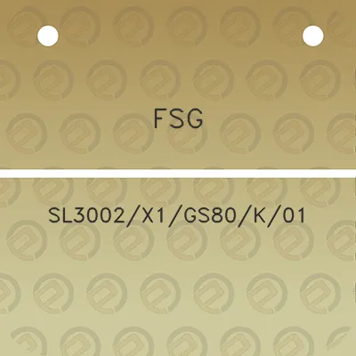 fsg-sl3002x1gs80k01