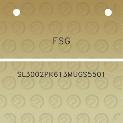 fsg-sl3002pk613mugs5501