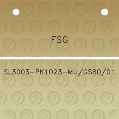 fsg-sl3003-pk1023-mugs8001