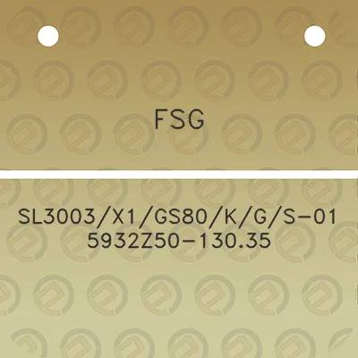 fsg-sl3003x1gs80kgs-01-5932z50-13035