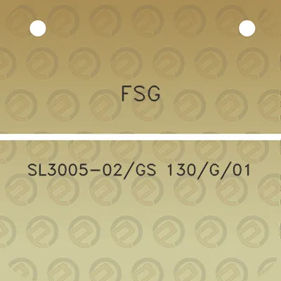 fsg-sl3005-02gs-130g01