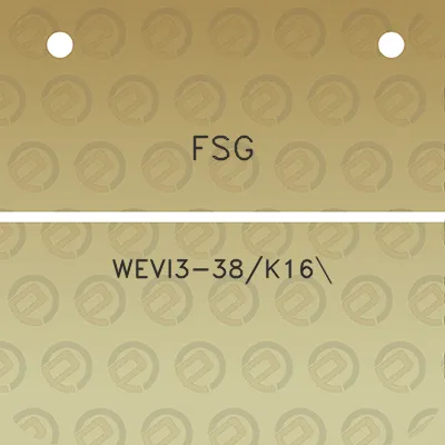 fsg-wevi3-38k16