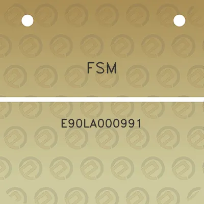 fsm-e90la000991