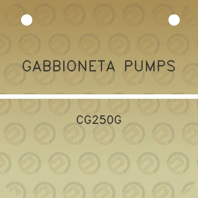 gabbioneta-pumps-cg250g