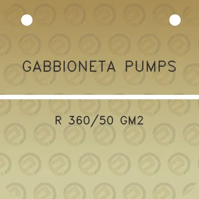 gabbioneta-pumps-r-36050-gm2