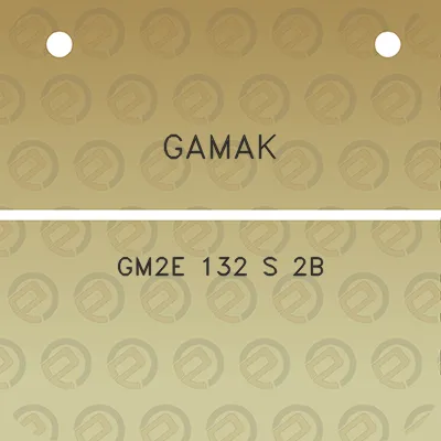 gamak-gm2e-132-s-2b