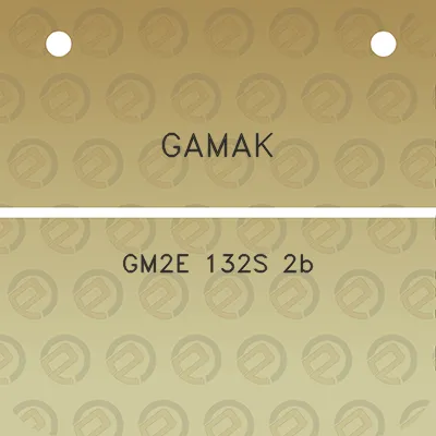gamak-gm2e-132s-2b