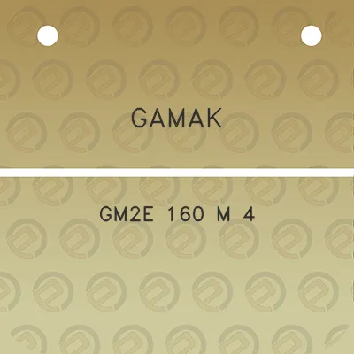 gamak-gm2e-160-m-4