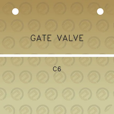 gate-valve-c6
