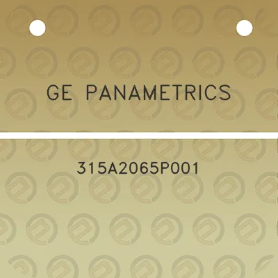 ge-panametrics-315a2065p001