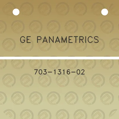 ge-panametrics-703-1316-02