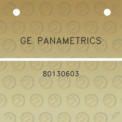 ge-panametrics-80130603