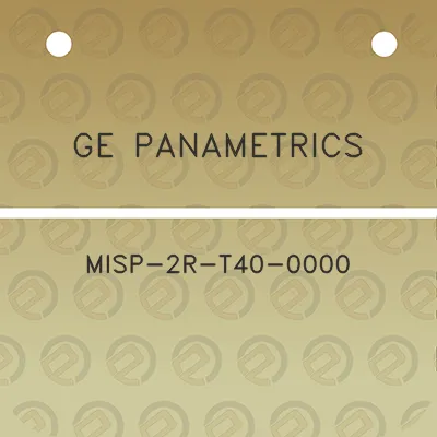 ge-panametrics-misp-2r-t40-0000