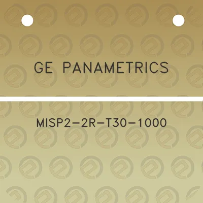 ge-panametrics-misp2-2r-t30-1000