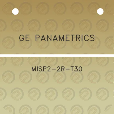 ge-panametrics-misp2-2r-t30