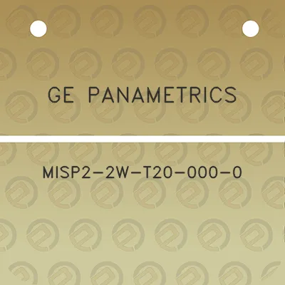 ge-panametrics-misp2-2w-t20-000-0
