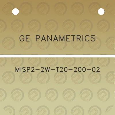 ge-panametrics-misp2-2w-t20-200-02
