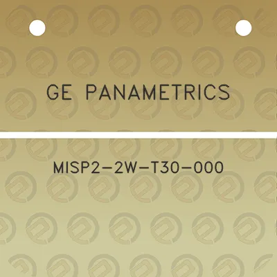 ge-panametrics-misp2-2w-t30-000