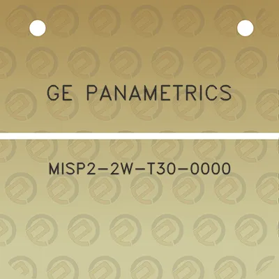 ge-panametrics-misp2-2w-t30-0000