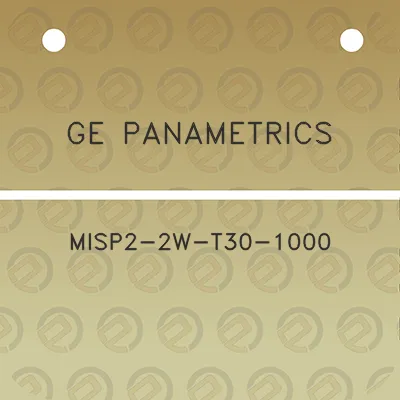 ge-panametrics-misp2-2w-t30-1000