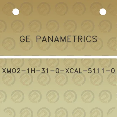 ge-panametrics-xmo2-1h-31-0-xcal-5111-0