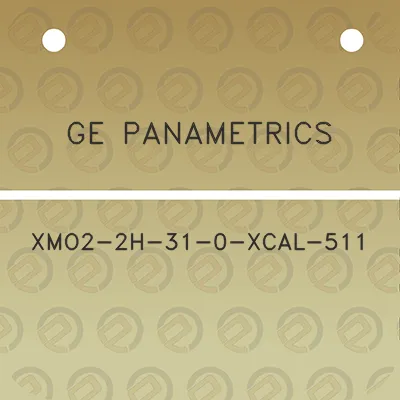ge-panametrics-xmo2-2h-31-0-xcal-511
