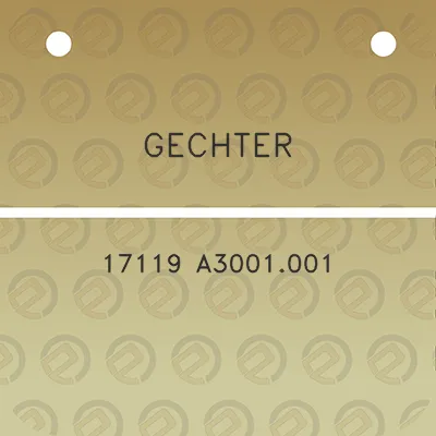 gechter-17119-a3001001