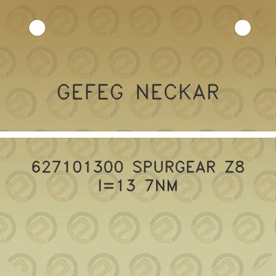 gefeg-neckar-627101300-spurgear-z8-i13-7nm