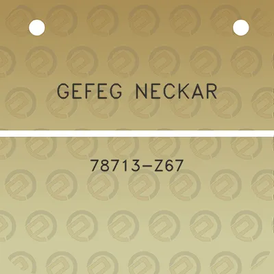 gefeg-neckar-78713-z67