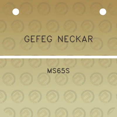 gefeg-neckar-ms65s