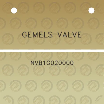 gemels-valve-nvb1g020000