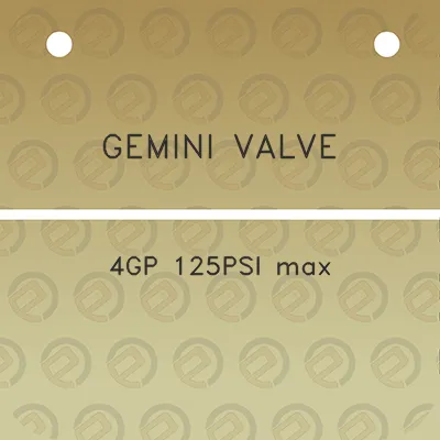 gemini-valve-4gp-125psi-max