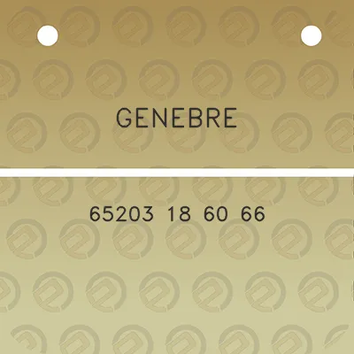 genebre-65203-18-60-66