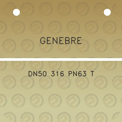 genebre-dn50-316-pn63-t