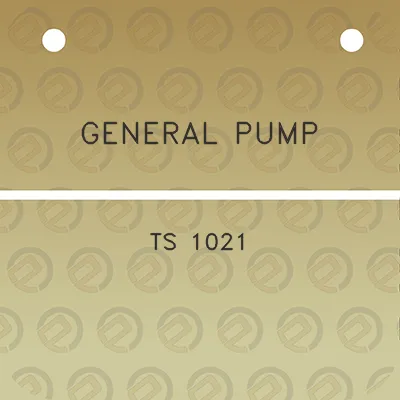 general-pump-ts-1021