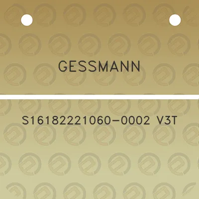 gessmann-s16182221060-0002-v3t