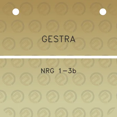 gestra-nrg-1-3b