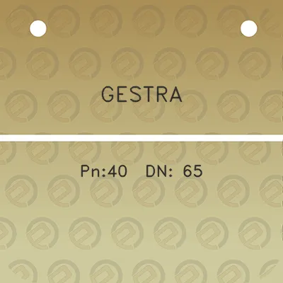 gestra-pn40-dn-65