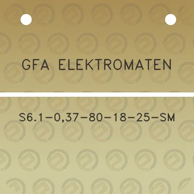 gfa-elektromaten-s61-037-80-18-25-sm